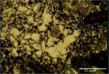 Tempering perlite, whiten ferrite phase, and Carbide particles results on FD