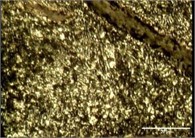 Tempering perlite and Carbide particles on external surface of FD