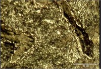 Tempering perlite and Carbide particles on external surface of FD