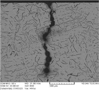 Internal oxidation on surface and edge of crack in FD