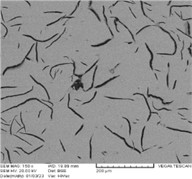 Internal oxidation on surface and edge of crack in FD