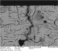 Internal oxidation on surface and edge of crack in FD