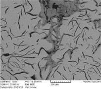 Internal oxidation on surface and edge of crack in FD