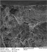 Layered graphite and soft fracture on surface center of RD