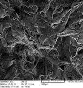 Layered graphite and soft fracture on surface center of RD