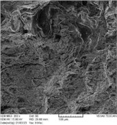 Layered graphite and soft fracture on surface center of RD