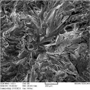 Layered graphite and soft fracture on surface center of RD