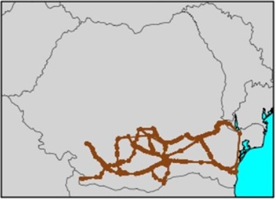 Routing models for CO2 transport via pipelines, trucks, rail, and ships