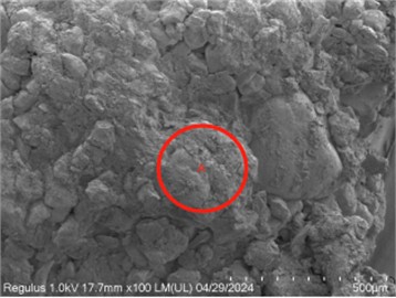 SEM images of rubber particle-loess under different freeze-thaw cycles: a) full contact, b) surface contact, c) partial contact, d) point contact