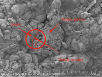 SEM images of rubber particle-loess under different freeze-thaw cycles: a) full contact, b) surface contact, c) partial contact, d) point contact