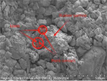 SEM images of rubber particle-loess under different freeze-thaw cycles: a) full contact, b) surface contact, c) partial contact, d) point contact