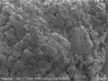 SEM images of rubber particle-loess under different moisture content