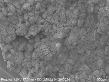 SEM images of rubber particle-loess under different moisture content