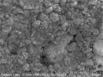 SEM images of rubber particle-loess under different moisture content
