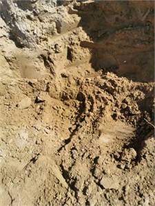 Sampling point layout of loess