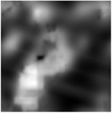 Sub-band images of different scales obtained by 2D-C-VMD  of the optimal low-frequency component