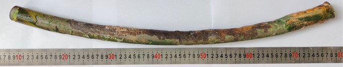 The macroscopic morphology of the sample