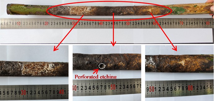 The macroscopic morphology of the sample