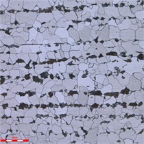 The metallographic structure of the tube base material