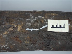 Macroscopic appearance of perforation
