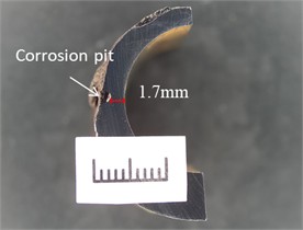The morphology of the left end of the specimen in Fig. 6