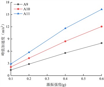 The Horizontal peak acceleration on both sides of the living stumps inside the slope under different excitation intensity DR-XZ