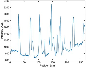Morphological analysis and particle distribution in polymeric matrices of samples P1, P2 and P3