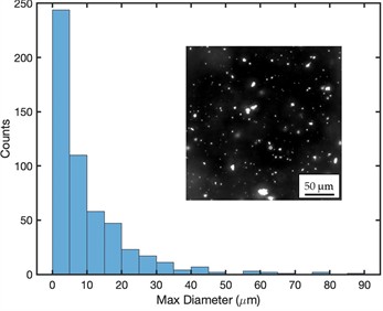 Morphological analysis and particle distribution in polymeric matrices of samples P1, P2 and P3