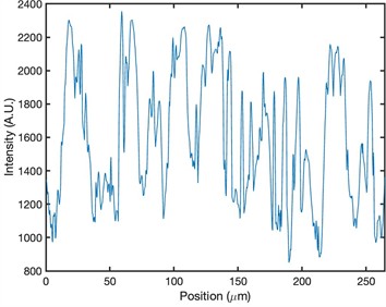 Morphological analysis and particle distribution in polymeric matrices of samples P1, P2 and P3