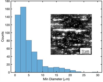 Morphological analysis and particle distribution in polymeric matrices of samples P1, P2 and P3