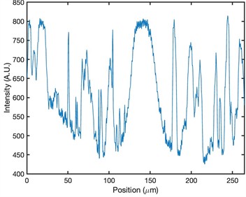 Morphological analysis and particle distribution in polymeric matrices of samples P1, P2 and P3