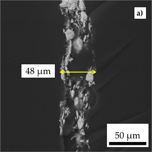 Morphological characterization of samples P1, P2 and P3  and observation of ferromagnetic nanoparticles