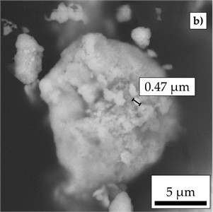Morphological characterization of samples P1, P2 and P3  and observation of ferromagnetic nanoparticles