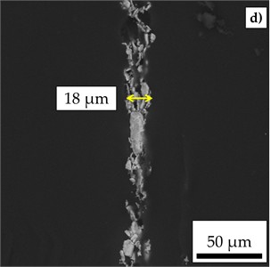 Morphological characterization of samples P1, P2 and P3  and observation of ferromagnetic nanoparticles