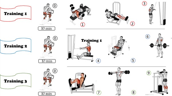 Proposed strength exercise training protocol for people with CKD-3. Source: (0) cycle ergometer; (1) bench press with dumbbells; (2): bilateral flexor table; (3) triceps on pulley with straight bar; (4) low row with straight bar; (5) bilateral extension chair; (6) barbell curl; (7) bilateral 45° Leg Press; (8) lateral raise with dumbbells; (9) standing calf raise on machine