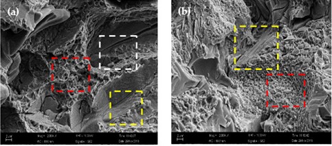 Fracture morphology of compressive deformation for TiNbMoTaW HEA  at high temperatures: a) T= 500 °C and b) T= 1000 °C [47]