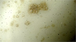 Visual representation of MWFs in different stages of status: a) cavitation, leading formation of small vapor-filled cavities in the liquid, b) coagulation – when chemical destabilization is observed, c) separation, when stability of emulsion is lost due to large amount of floating metal particles