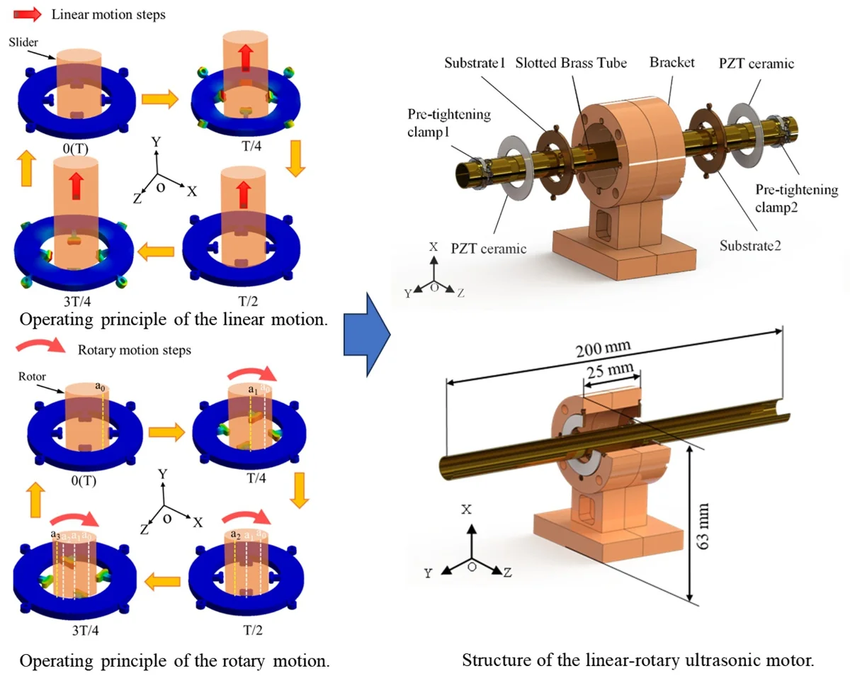 Dual-stator ultrasonic motor achieving 2-DOF linear and rotary motion with single-phase excitation