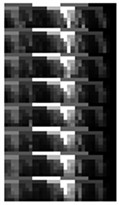 An example of MSSI feature for the ten health states under Load0 condition