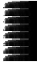 An example of MSSI features for the conveyor idler bearing under different health states