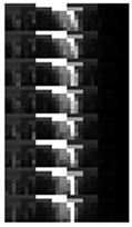 An example of MSSI feature for the ten health states under Load0 condition