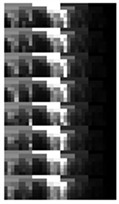 An example of MSSI feature for the ten health states under Load0 condition