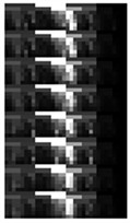 An example of MSSI feature for the ten health states under Load0 condition