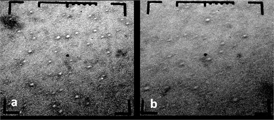 Electron microscopic images of chrome-plated specimens: Sample No. 1, 15000 H, 1 cm = 660 nm; P= 3·10-2 Pa