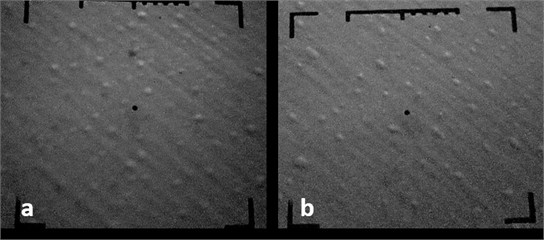 Electron microscopic images of chrome-plated specimens: Sample No. 2, 15000 H, 1 cm = 660 nm; P= 3·10-3Pa