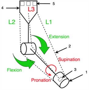Kinematic scheme of the AlmatyExoElbow exoskeleton