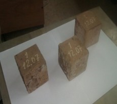 Appearance of sample series “1 from 12.07” after testing at 900 °C