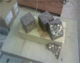 Appearance of sample series “1 from 12.07” after testing at 1200 °C