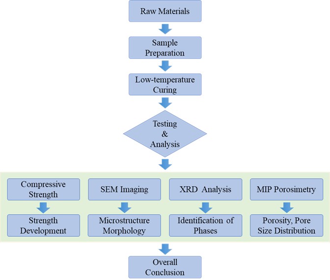 Graphical abstract of the experimental design