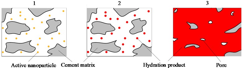 Schematic illustration of the hydration mechanism of Portland cement incorporating active nanoparticles